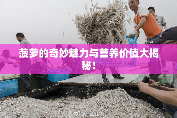 菠萝的奇妙魅力与营养价值大揭秘！