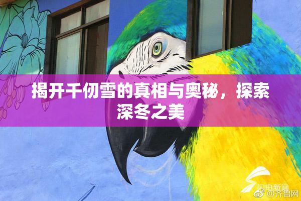 揭开千仞雪的真相与奥秘，探索深冬之美