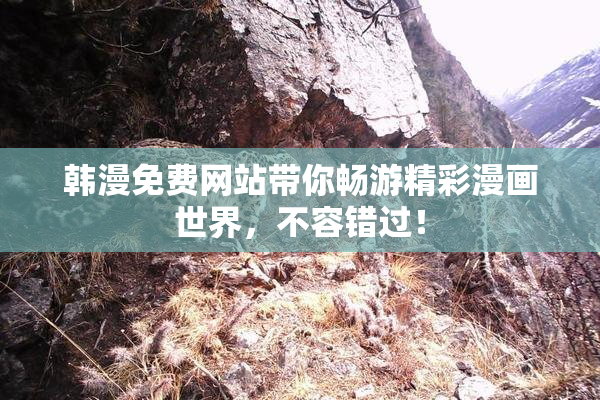 韩漫免费网站带你畅游精彩漫画世界，不容错过！