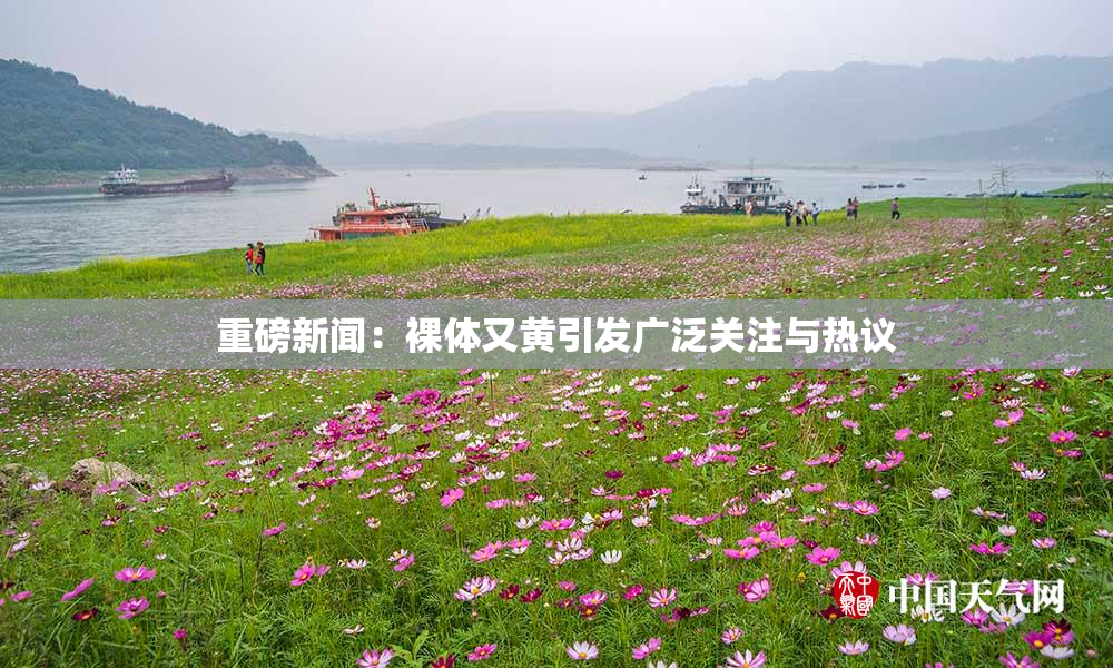 重磅新闻：裸体又黄引发广泛关注与热议