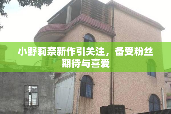 小野莉奈新作引关注，备受粉丝期待与喜爱