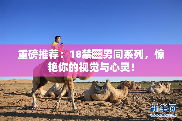 重磅推荐：18禁▓男同系列，惊艳你的视觉与心灵！