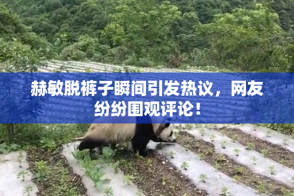 赫敏脱裤子瞬间引发热议，网友纷纷围观评论！