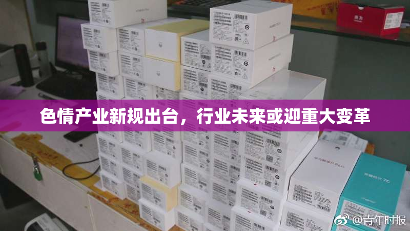 色情产业新规出台，行业未来或迎重大变革