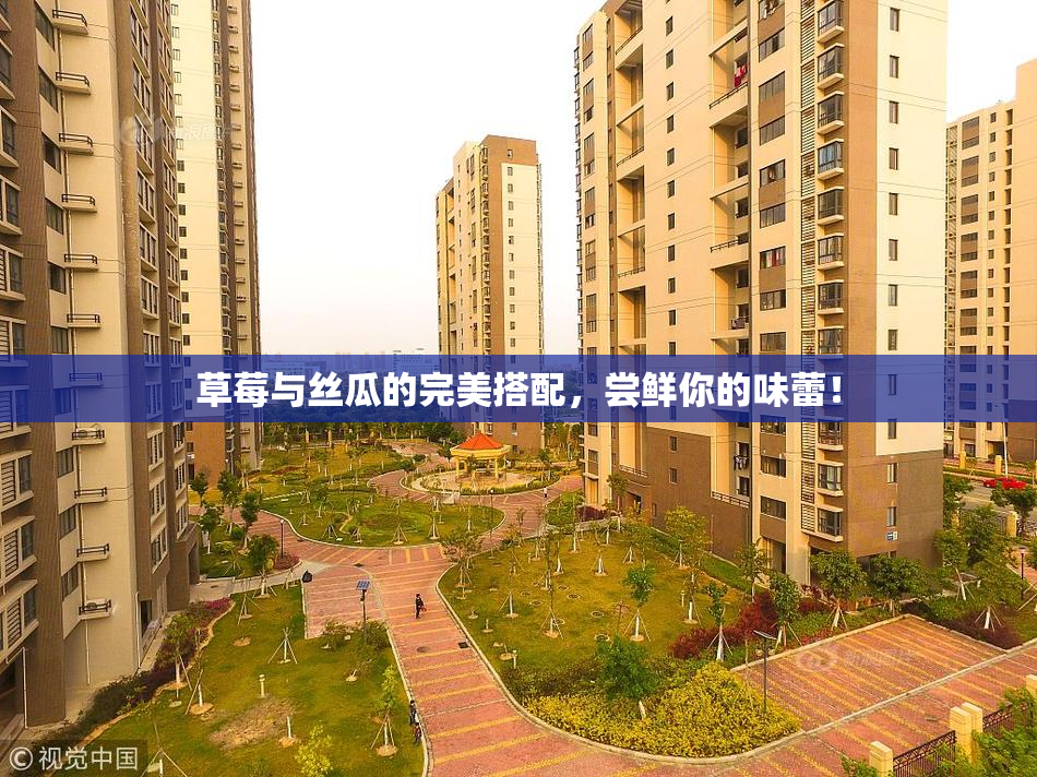 草莓与丝瓜的完美搭配，尝鲜你的味蕾！
