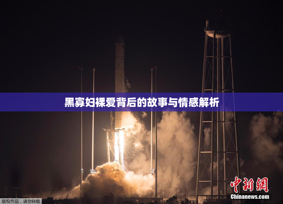 黑寡妇裸爱背后的故事与情感解析