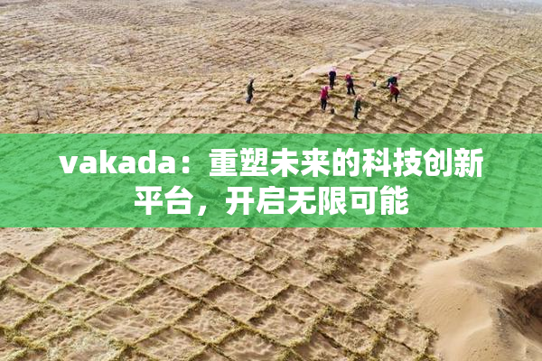 vakada：重塑未来的科技创新平台，开启无限可能