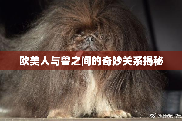 欧美人与兽之间的奇妙关系揭秘