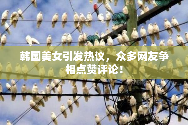韩国美女引发热议，众多网友争相点赞评论！