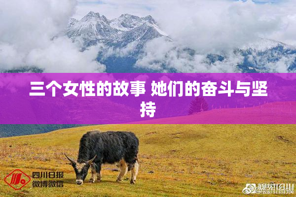 三个女性的故事 她们的奋斗与坚持