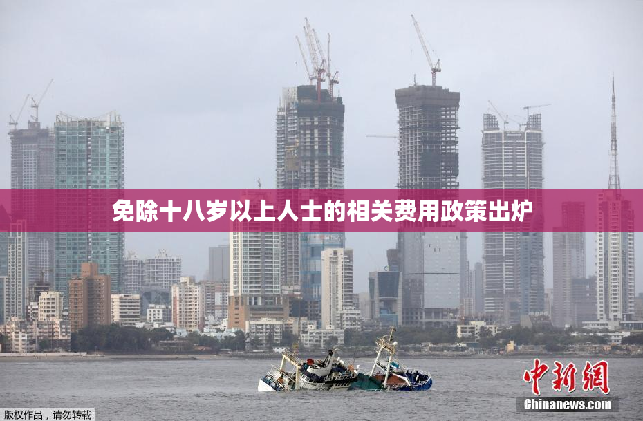 免除十八岁以上人士的相关费用政策出炉