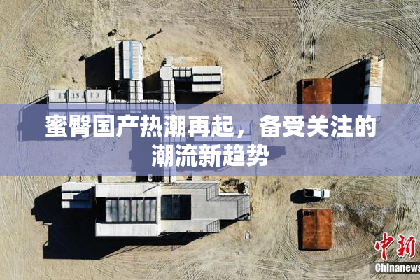 蜜臀国产热潮再起，备受关注的潮流新趋势