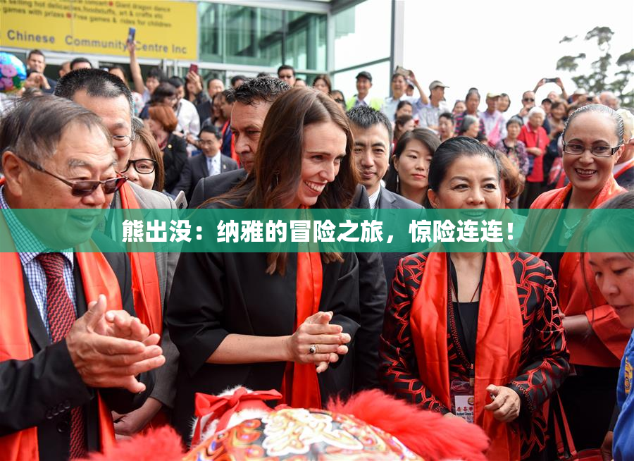 熊出没：纳雅的冒险之旅，惊险连连！