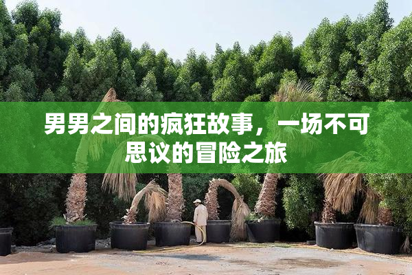 男男之间的疯狂故事，一场不可思议的冒险之旅