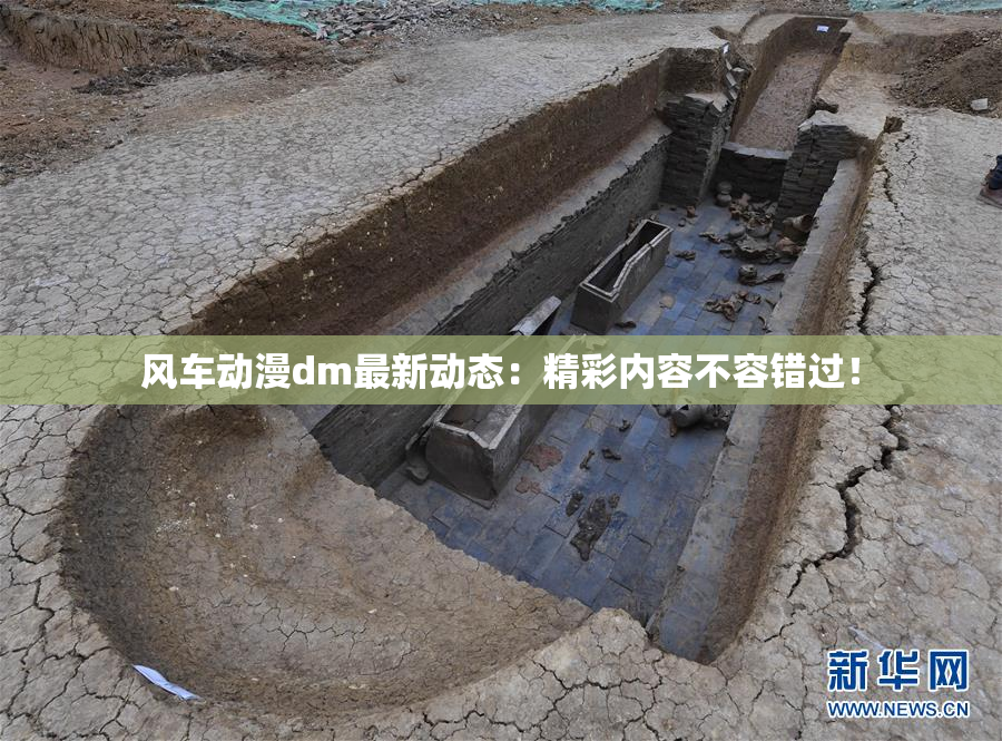 风车动漫dm最新动态：精彩内容不容错过！