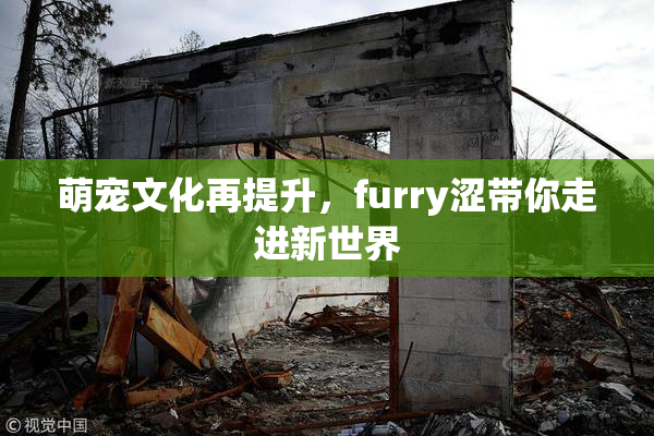 萌宠文化再提升，furry涩带你走进新世界