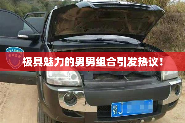 极具魅力的男男组合引发热议！
