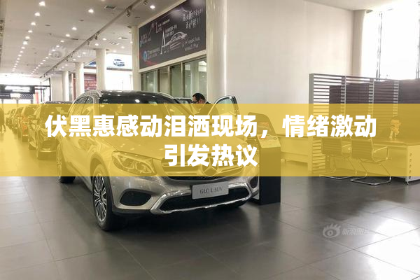 伏黑惠感动泪洒现场，情绪激动引发热议