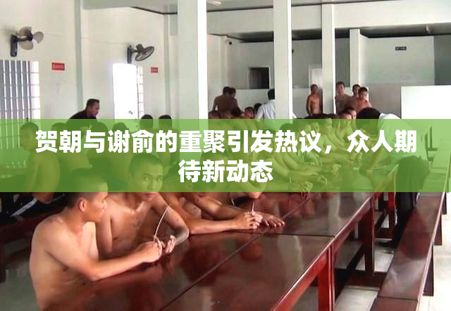 贺朝与谢俞的重聚引发热议，众人期待新动态