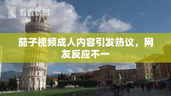 茄子视频成人内容引发热议，网友反应不一