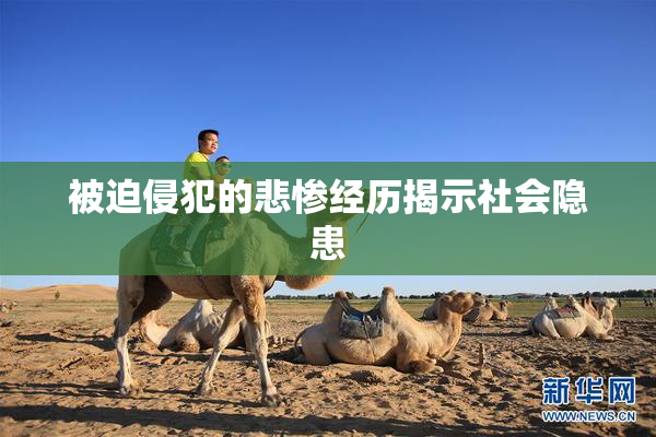 被迫侵犯的悲惨经历揭示社会隐患