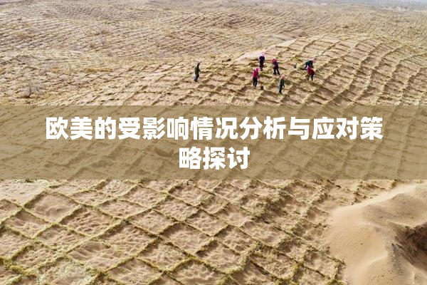 欧美的受影响情况分析与应对策略探讨