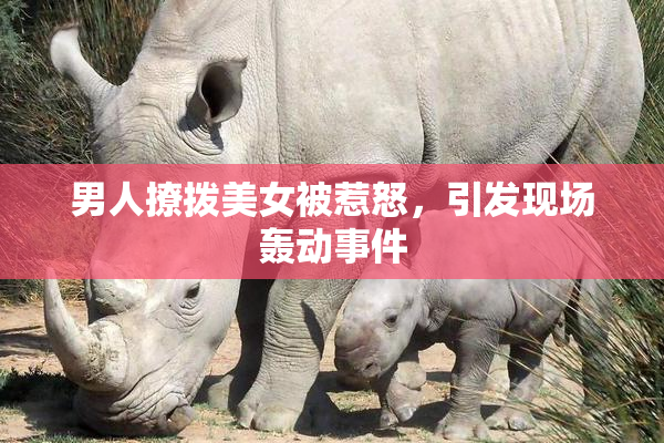 男人撩拨美女被惹怒，引发现场轰动事件