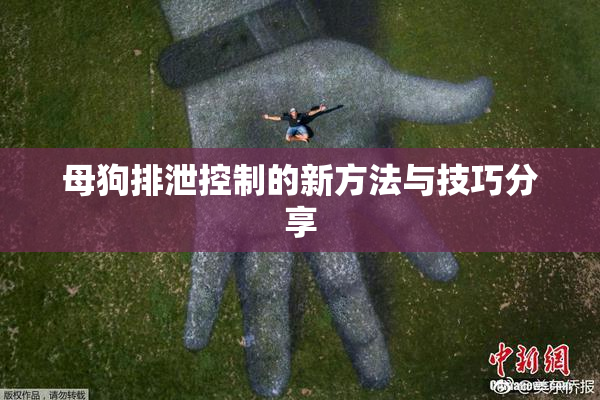母狗排泄控制的新方法与技巧分享
