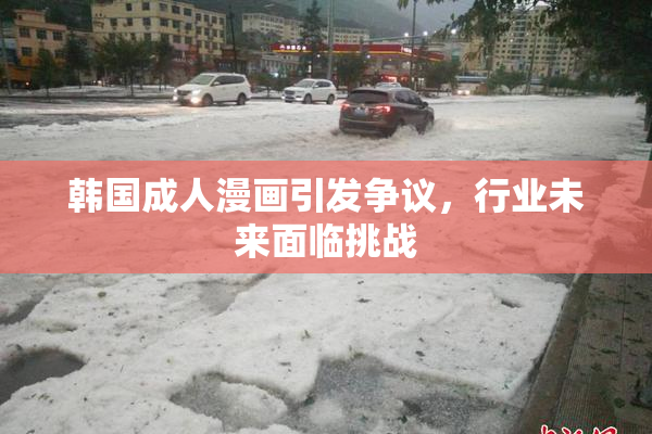 韩国成人漫画引发争议，行业未来面临挑战
