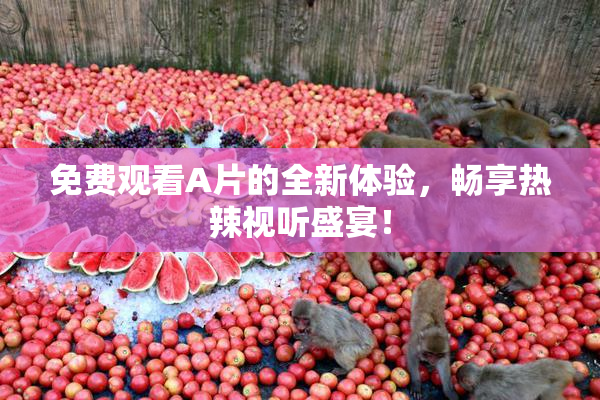 免费观看A片的全新体验，畅享热辣视听盛宴！