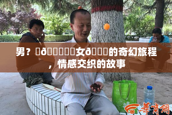 男？‌🍌❌‌女🍑的奇幻旅程，情感交织的故事
