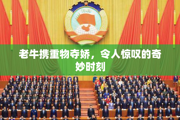 老牛携重物夺娇，令人惊叹的奇妙时刻