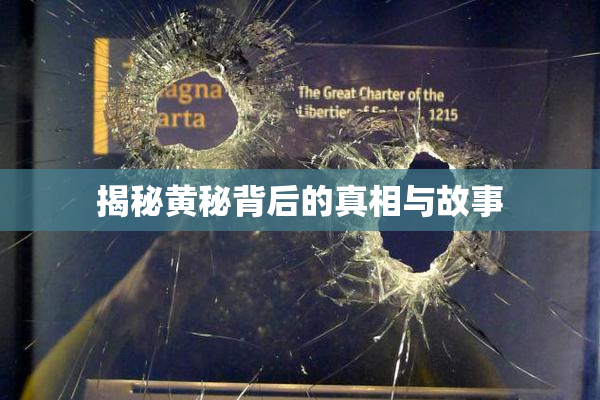 揭秘黄秘背后的真相与故事