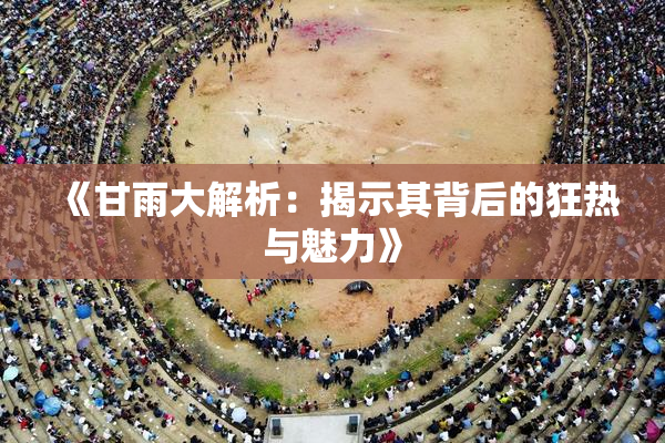《甘雨大解析：揭示其背后的狂热与魅力》