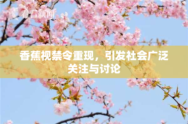 香蕉视禁令重现，引发社会广泛关注与讨论
