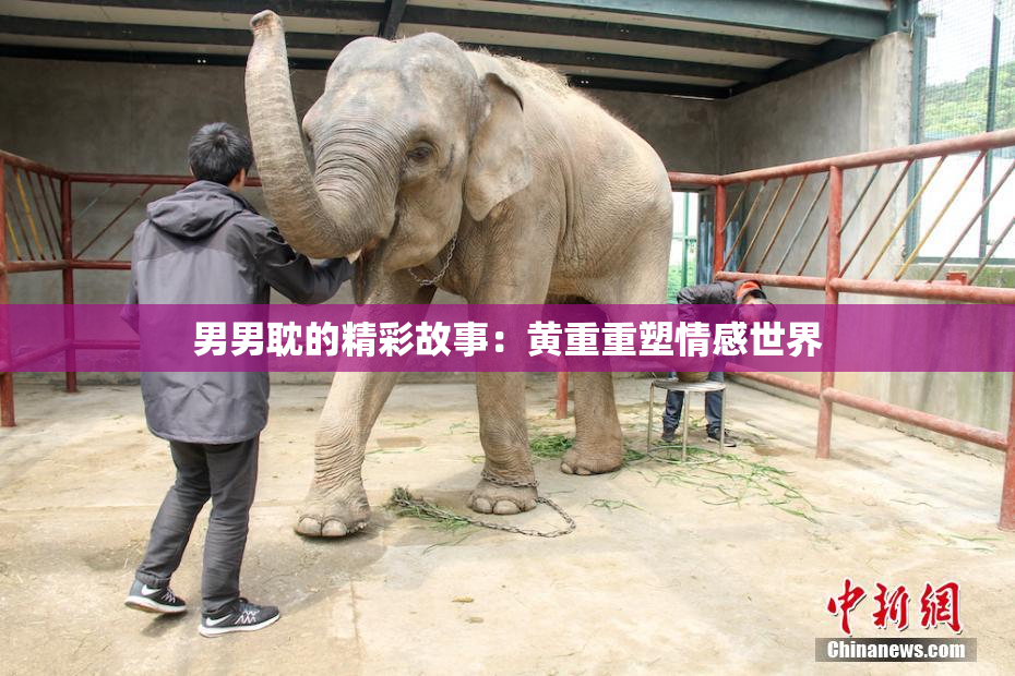男男耽的精彩故事：黄重重塑情感世界