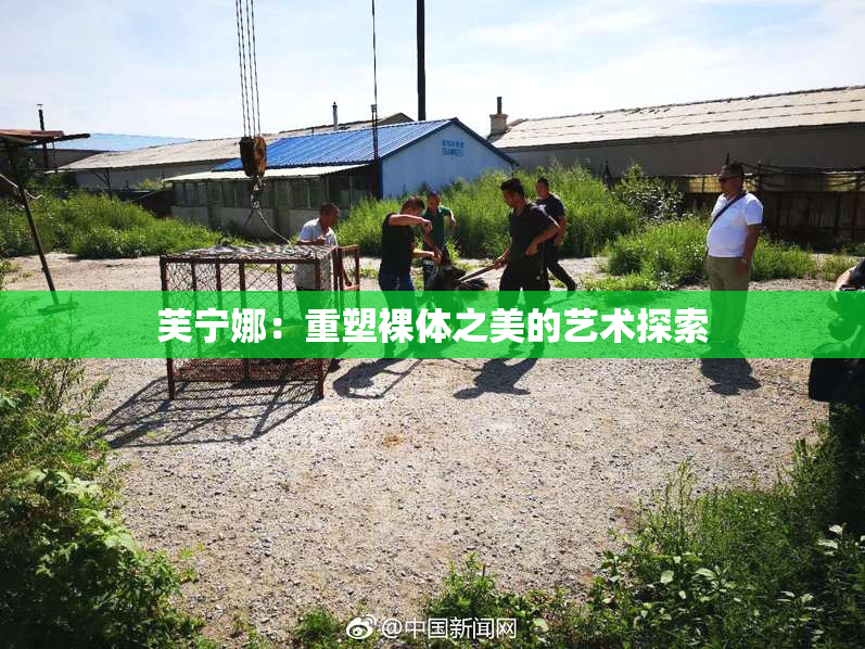 芙宁娜：重塑裸体之美的艺术探索