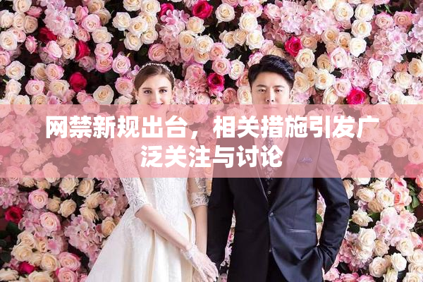 网禁新规出台，相关措施引发广泛关注与讨论