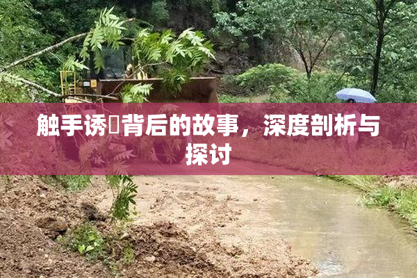 触手诱奷背后的故事，深度剖析与探讨