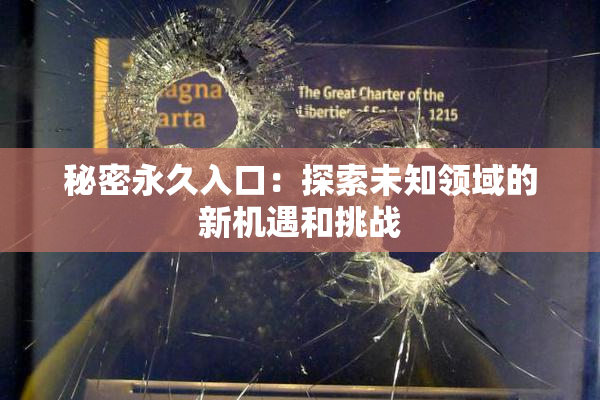 秘密永久入口：探索未知领域的新机遇和挑战