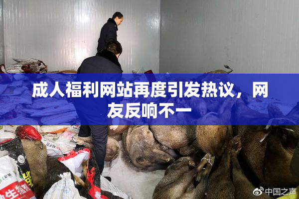 成人福利网站再度引发热议，网友反响不一