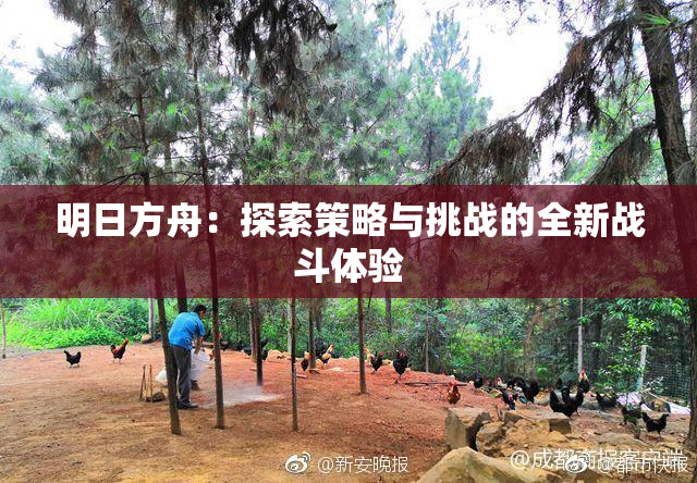 明日方舟：探索策略与挑战的全新战斗体验