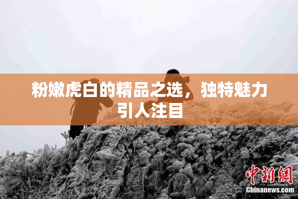粉嫩虎白的精品之选，独特魅力引人注目