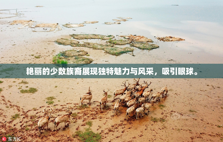 艳丽的少数族裔展现独特魅力与风采，吸引眼球。