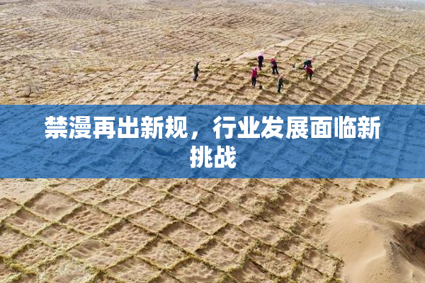 禁漫再出新规，行业发展面临新挑战