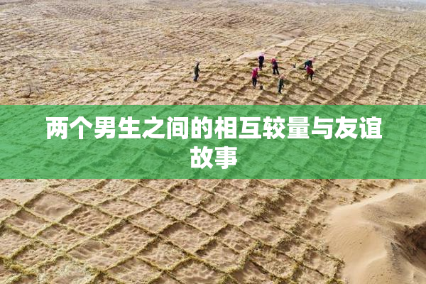 两个男生之间的相互较量与友谊故事