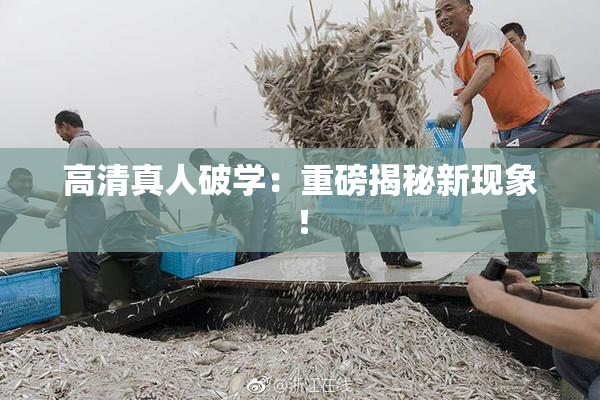 高清真人破学：重磅揭秘新现象！
