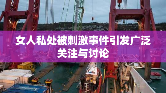 女人私处被刺激事件引发广泛关注与讨论
