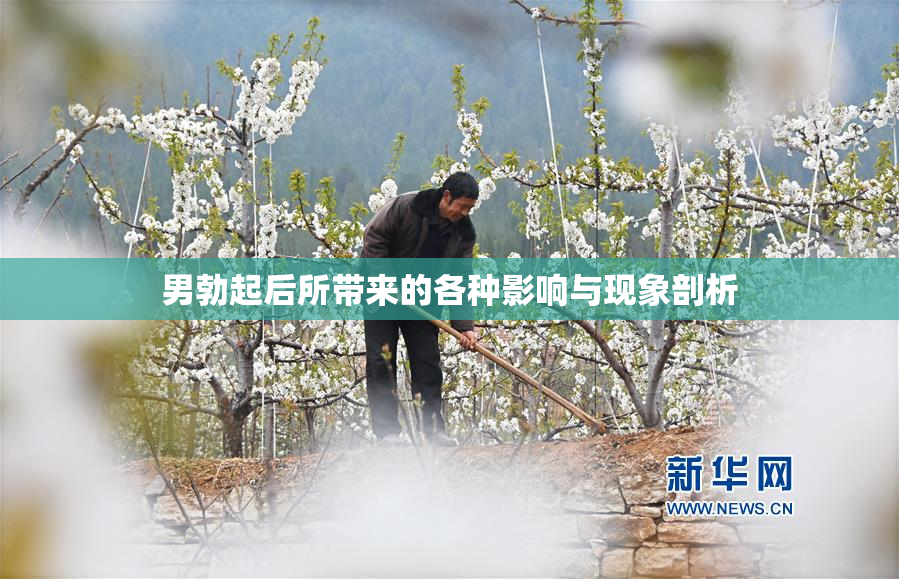 男勃起后所带来的各种影响与现象剖析