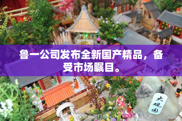 鲁一公司发布全新国产精品，备受市场瞩目。